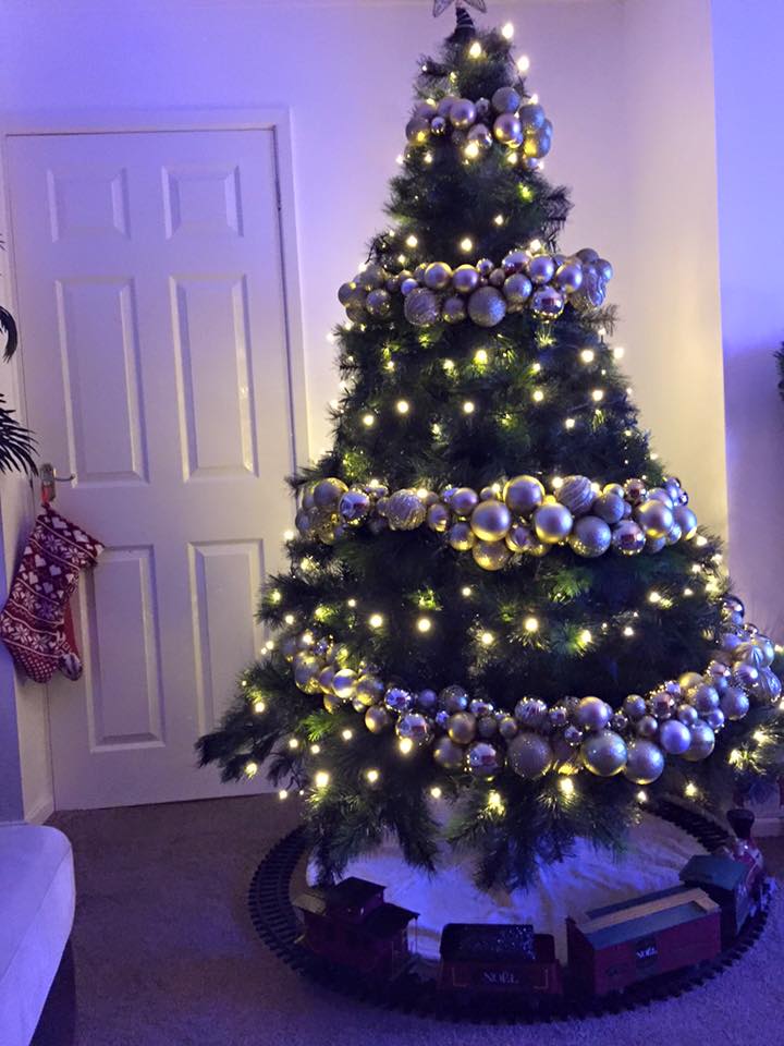 12313659_10156221138570702_1616514119146075645_n